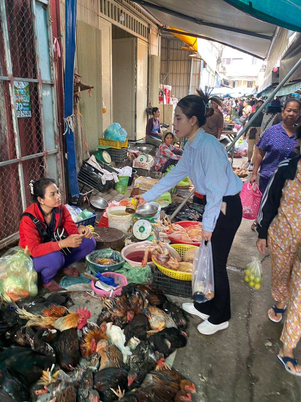 Siem Reap Branch Distribution FMCG Products by Da Houg Heng Enterprise Ltd. - Image 85